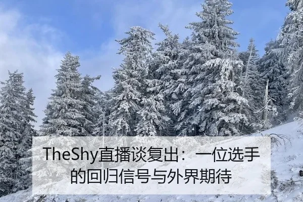 TheShy直播谈复出：一位选手的回归信号与外界期待